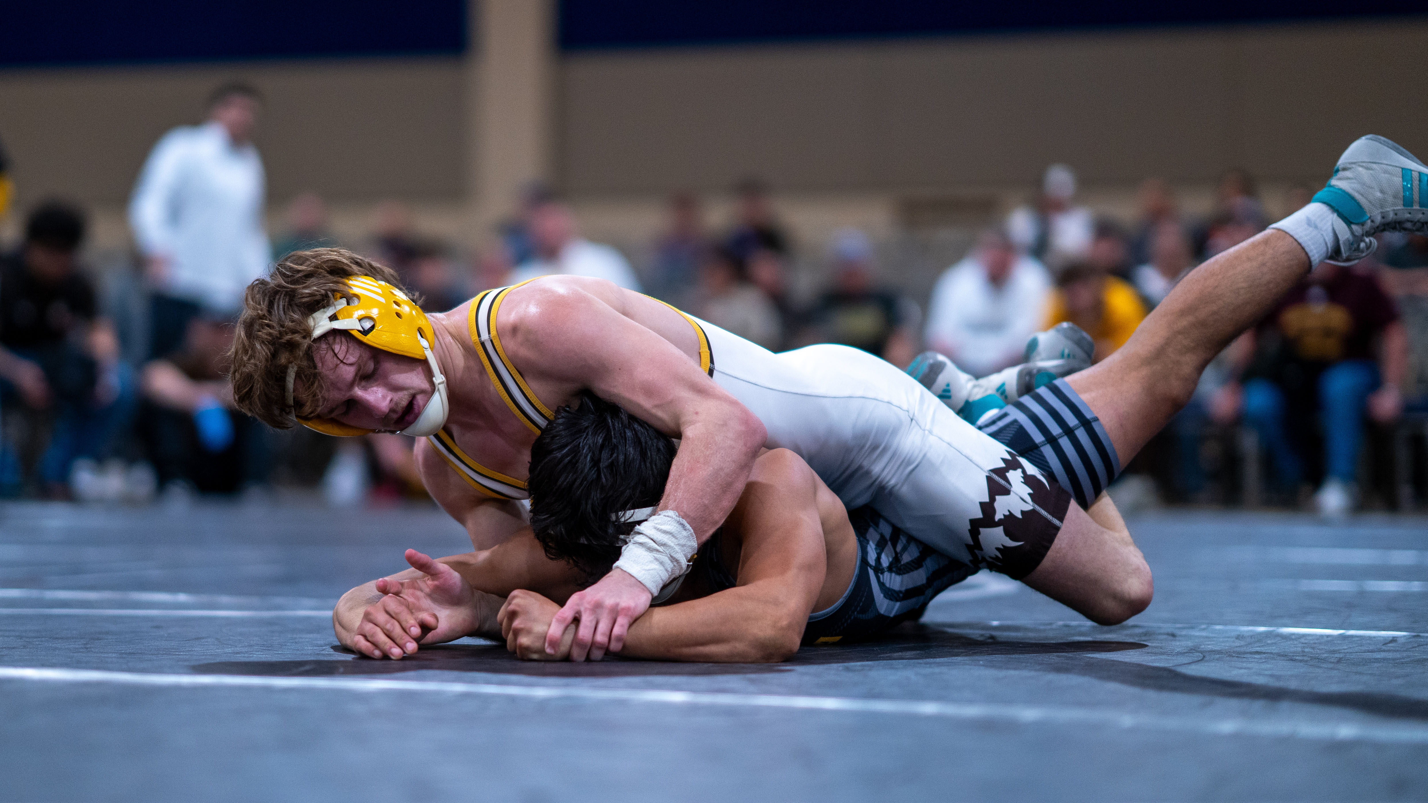 News Letter Journal - Staff Photo - Create Article