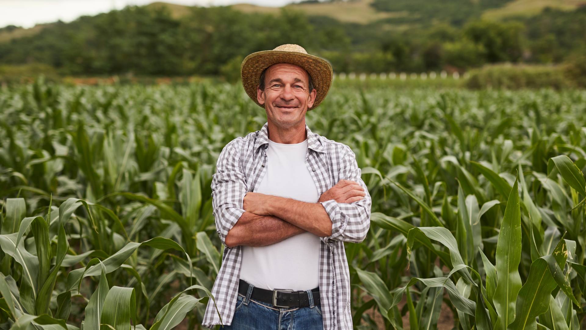 A happy farmer stands in front of his corn crop with his arms folded across his chest and a smile on his face.
