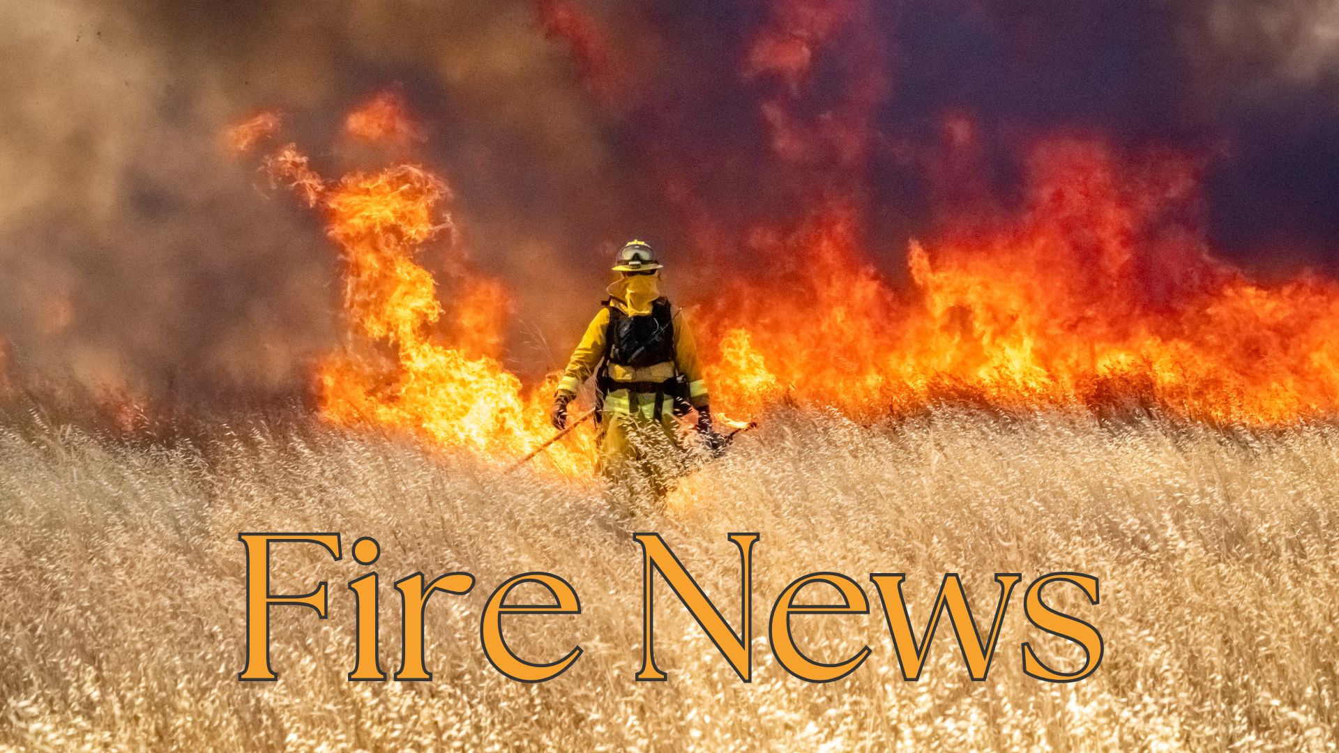 News Letter Journal - Staff Photo - Create Article