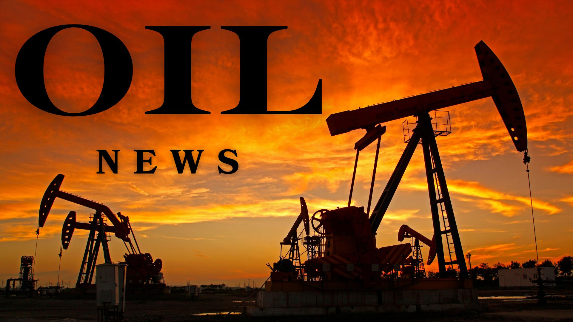 News Letter Journal - Staff Photo - Create Article