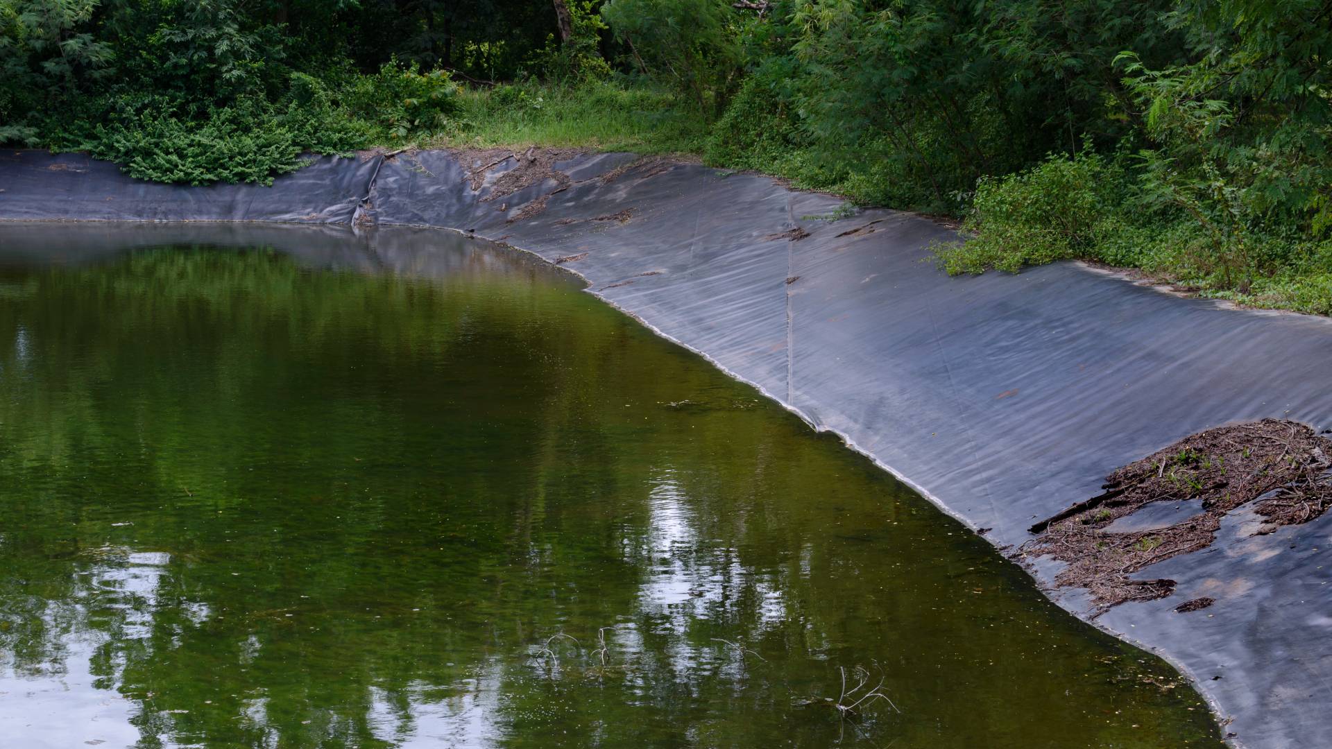 The water of a lake recedes enough to show the black liner. Tall, green trees surround the lake.