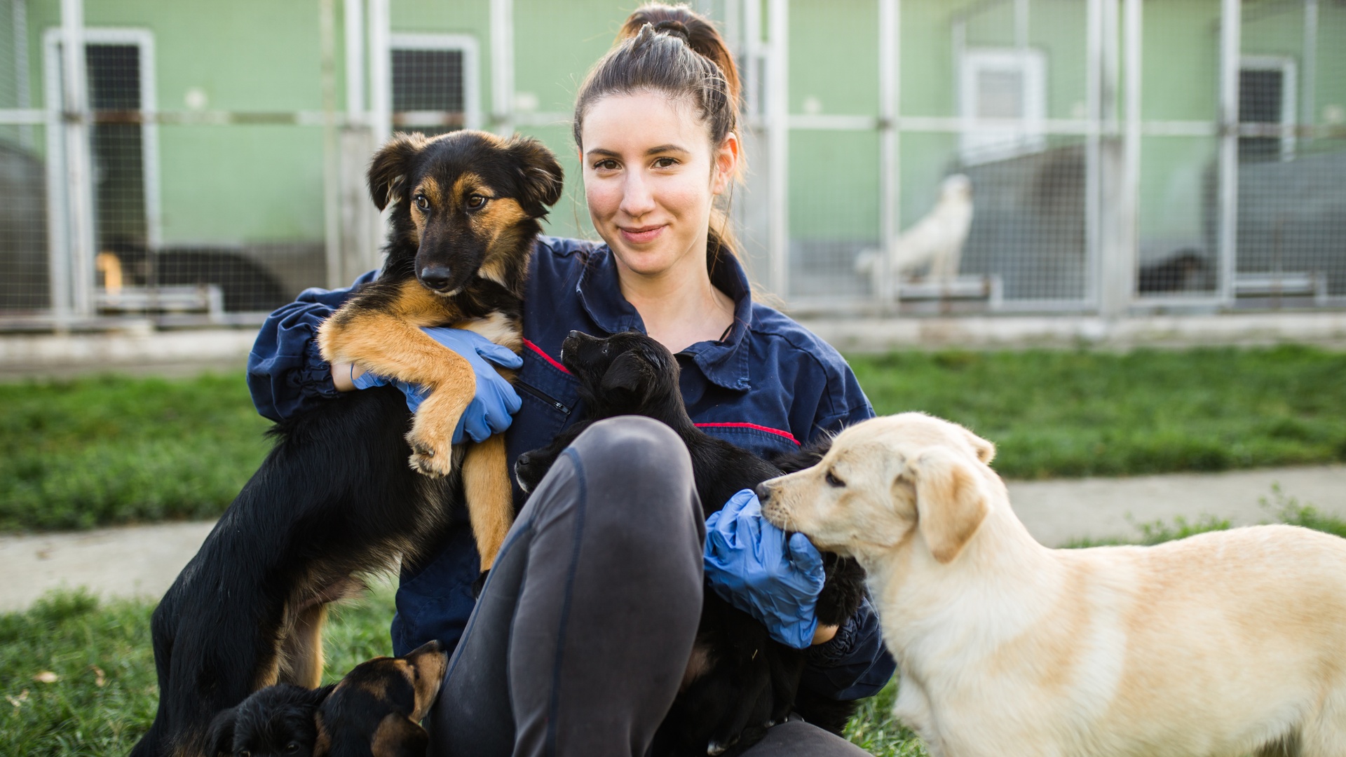 A female volunteer sits outside an animal shelter. One dog sits in her lap, one stands on her leg, and one stands beside her.