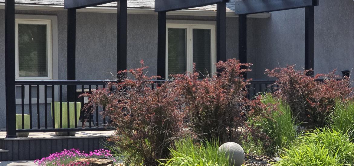 A very nice yard.