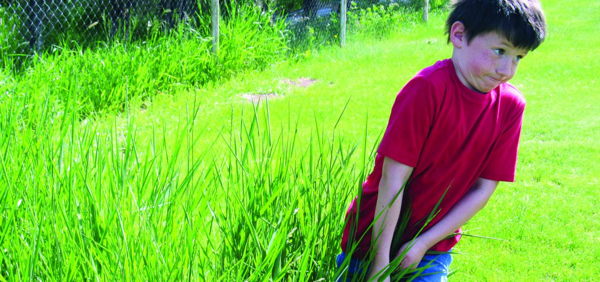 News Letter Journal - Staff Photo - Create Article