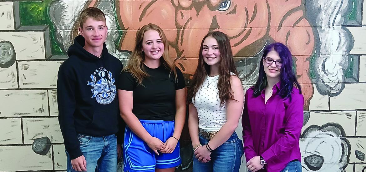 News Letter Journal - Staff Photo - Create Article
