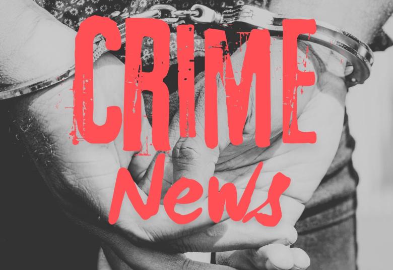 News Letter Journal - Staff Photo - Create Article