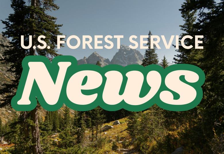 News Letter Journal - Staff Photo - Create Article